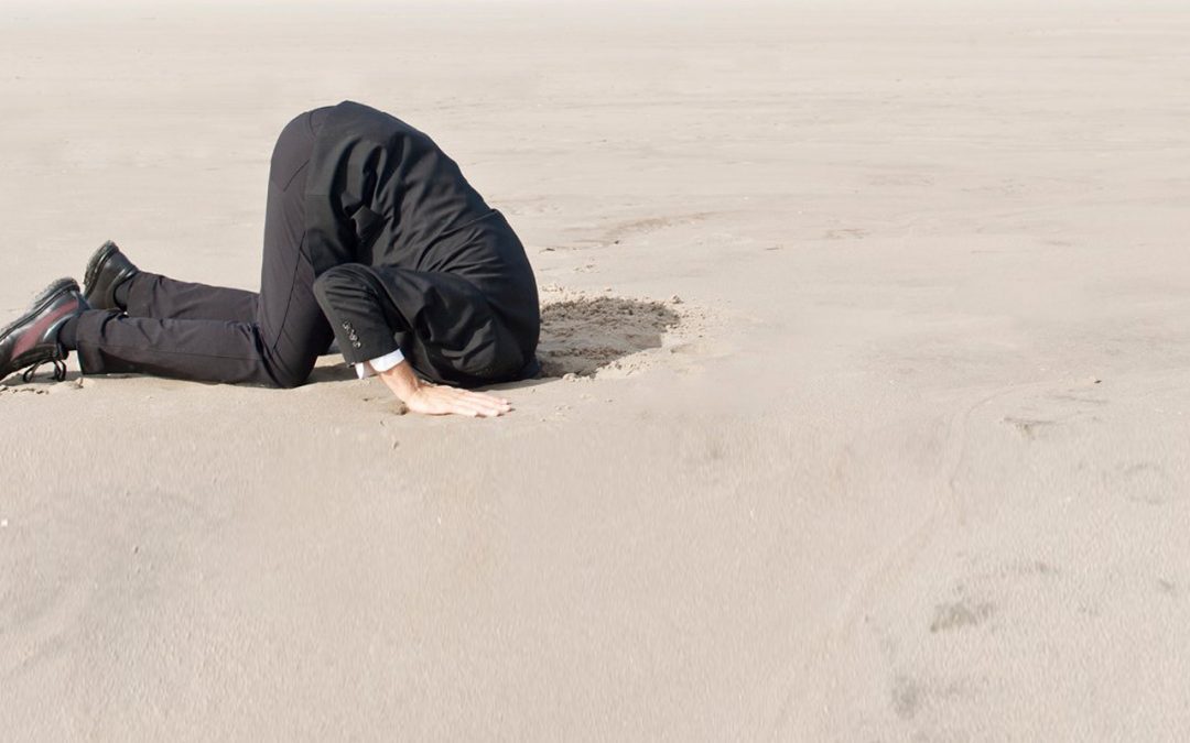 4 Phasen des Wissens