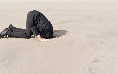 4 Phasen des Wissens