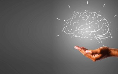 Betriebssystem Verstand