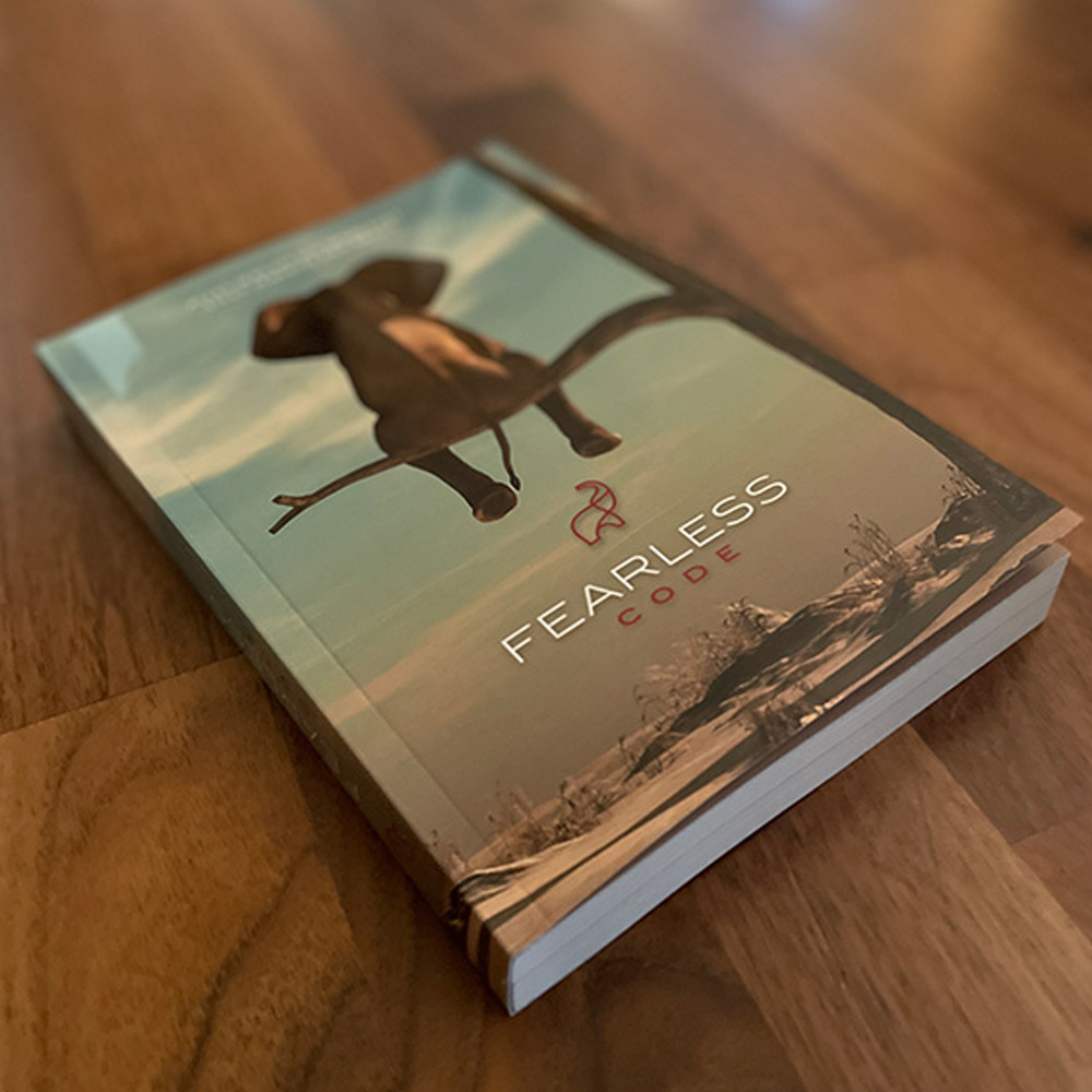 Fearless Code Buch Fearless Code Buch